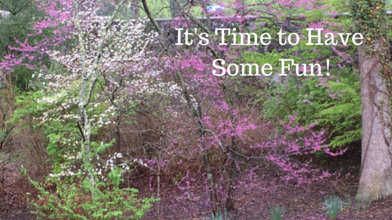 It’s Time to Have Some Fun!